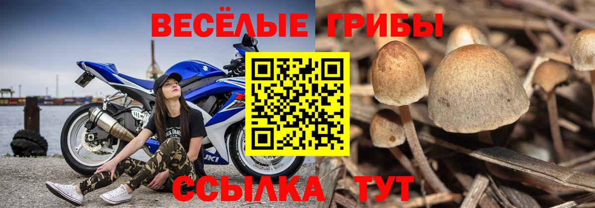 Галлюциногенные грибы прущие грибы  Вход с VPN  Псилоцибиновые грибы мухоморы  Нальчик 